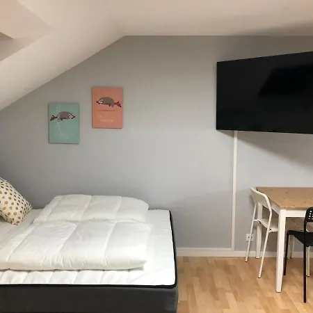 Apartment First Class Zentral/universitat/klinikum